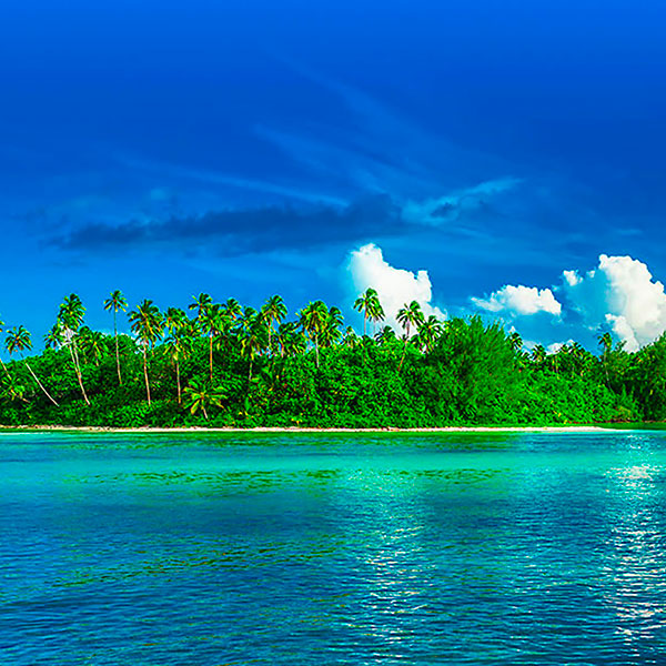 Insula Rarotonga